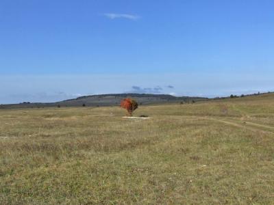 Прикрепленное изображение: DSCF5800.jpg